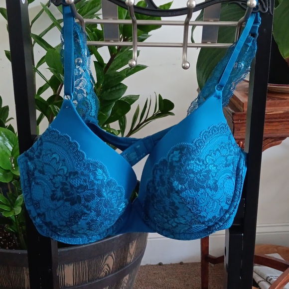 vassarette Other - Vassarette Bra 38C EUC  Blue